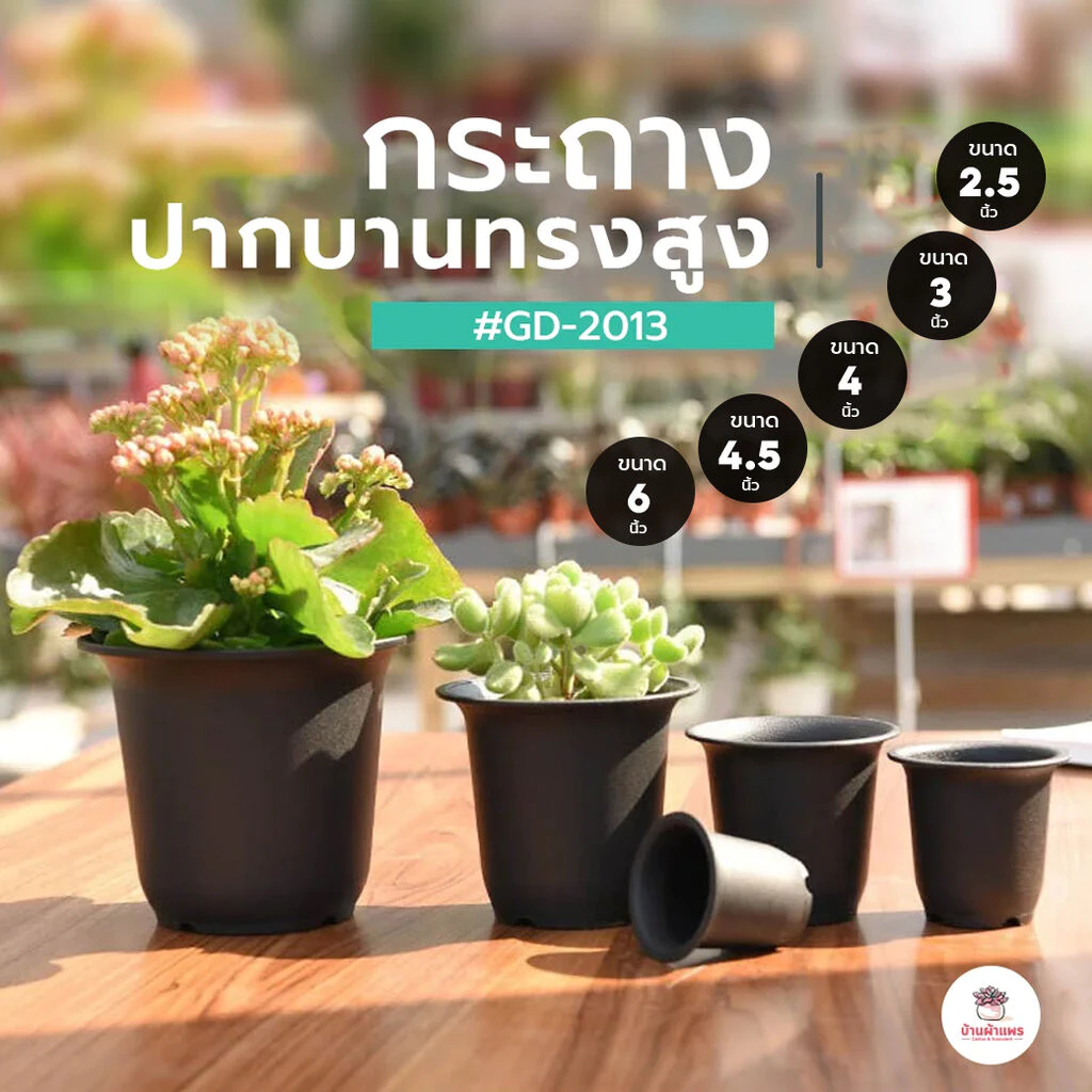 กระถางปากบานทรงสูง 2.5 นิ้ว - 6 นิ้ว [ GD2010 - GD2014 ]กระถางพลาสติก แคคตัส กระบองเพชร ไม้อวบน้ำ Cactus&Succulent