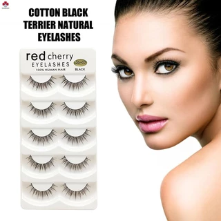 Fluffy Comic Eye Wispy Lashes ผู้หญิงจําลองขนตาปลอม