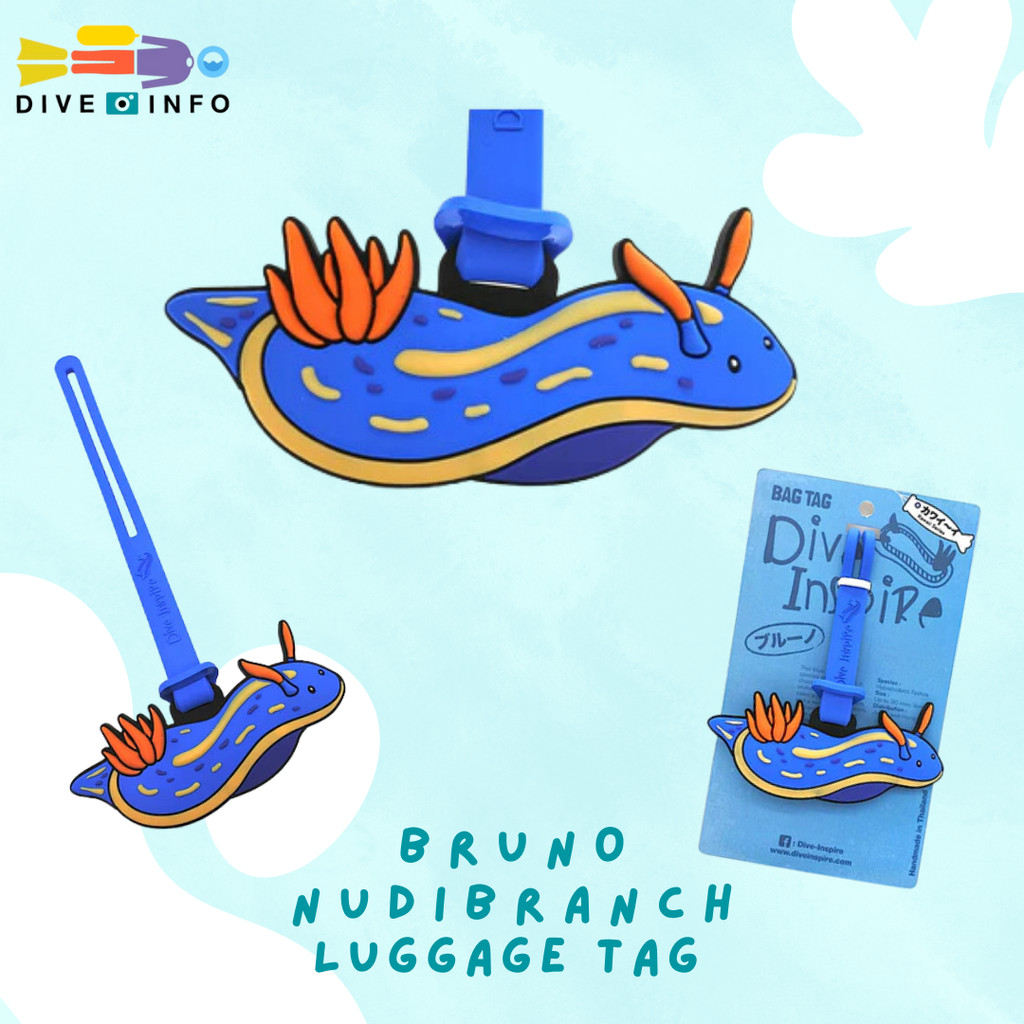 Dive Inspire Luggage Tag, Bag Tag, Key-Ring, NUDI Blind Box รวมของน่ารัก ของที่ระลึก