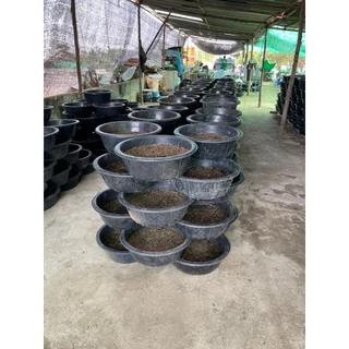 (ส่งฟรีไม่ใช้โค้ดทั่วประเทศ)มูลไส้เดือน100% ขนาด 5KG 10KG 15KG และ20KG ธาตุอาหารครบถ้วน NPK แถมE-BOOK ทุกออเดอร์