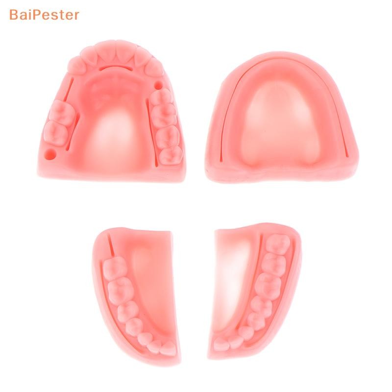 [BaiPester] โมเดลเย็บแผลในช่องปากจําลอง 4 ชิ้น อุปกรณ์ฝึกการสอนการเย็บหมากฝรั่ง - รูปที่ 7