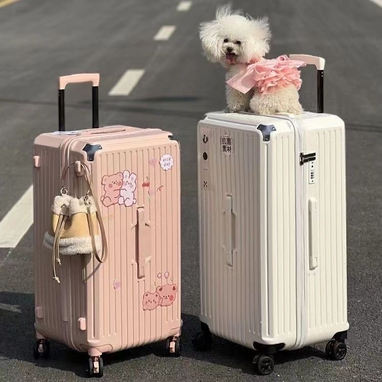 รูปภาพ 9