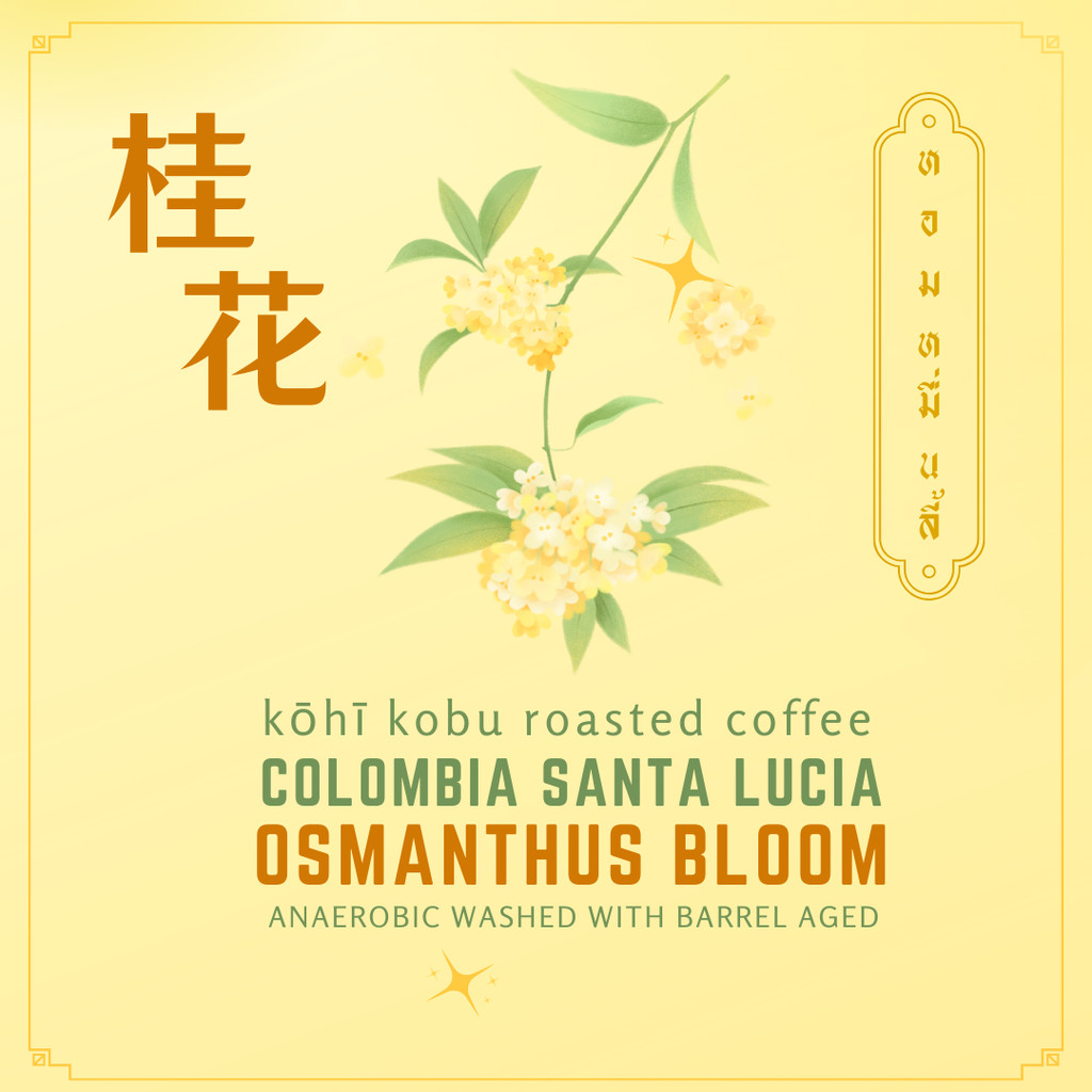 [หอมหมื่นลี้] Colombia Finca Santa Lucia Osmanthus Bloom | เมล็ดกาแฟคั่วสดใหม่