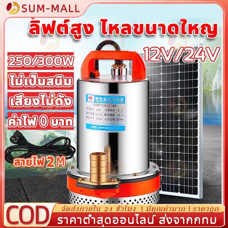 COD สแตนเลส ปั๊มจุ่ม 1นิ้ว12/24V 300W ไดโว่ เจ้าพระยา แรงดันสู แบตเตอรี่ มอเตอร์ทองแดงแท้ 100%(ไดร์โว่ดูดน้ำ 12v ปั๊มน้ำ