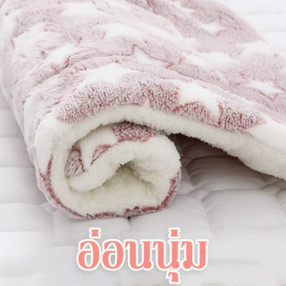 เบาะนอนแมว ที่นอนแมว ที่นอนสุนัข อบอุ่นและสะดวกสบาย เติมหนา นุ่มและสบาย ผ้าสักหลาด