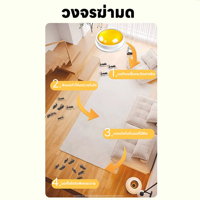 นำเข้าจากญี่ปุ่น คุณภาพสูง💥NANA ยาฆ่ามด เหยื่อมด เจลกำจัดมด กำจัดมด ยากำจัดมด ประสิทธิภาพ 100% กำจัดรังมดให้สิ้นซาก - รูปที่ 4