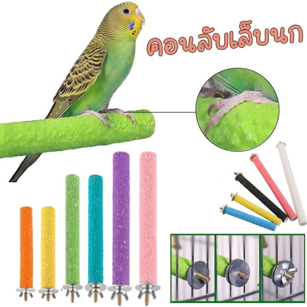 คอนลับเล็บนก (1ชิ้น) สำหรับนก คอนแบบติดกรง ก้านไม้ของเล่นสําหรับนกแก้ว ของเล่นนกแก้ว ของเล่นชูก้า #AK-0009