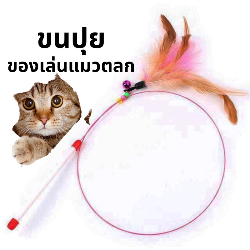 🔥พร้อมส่งในไทย✨ไม้ล่อแมว ไม้ตกแมว ของเล่นแมว ไม้ตบแมว มีกระดิ่ง/ ไม้แมว ขอเล่นแมว ไม้แมว ยาวสุด ไม้ตกแมวขนนก - รูปที่ 6