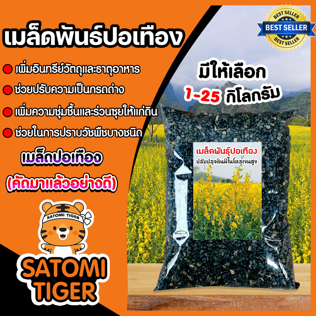 เมล็ดพันธุ์ปอเทือง มีให้เลือกปริมาณ 1-5 กิโลกรัม ดอกปอเทือง ดอกเหลือง เมล็ดพันธุ์คุณภาพดี พืชบำรุงดิน ให้ปุ๋ยอินทรีย์