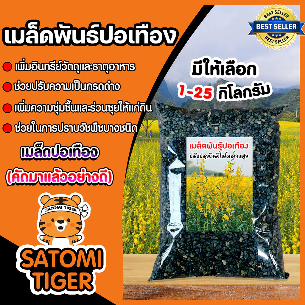 เมล็ดพันธุ์ปอเทือง มีให้เลือกปริมาณ 1-5 กิโลกรัม ดอกปอเทือง ดอกเหลือง เมล็ดพันธุ์คุณภาพดี พืชบำรุงดิน ให้ปุ๋ยอินทรีย์