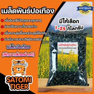 เมล็ดพันธุ์ปอเทือง มีให้เลือกปริมาณ 1-5 กิโลกรัม ดอกปอเทือง ดอกเหลือง เมล็ดพันธุ์คุณภาพดี พืชบำรุงดิน ให้ปุ๋ยอินทรีย์