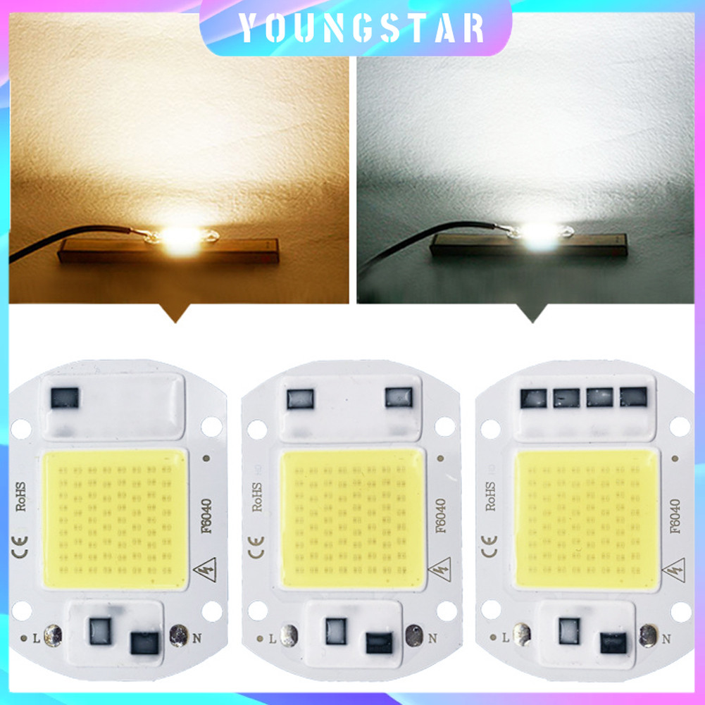 Fyg 110V 220V LED ชิป 20W 30W 50W ชิป COB ไม่จําเป็นต้องไดร์เวอร์หลอดไฟ LED ลูกปัดสําหรับ DIY แสงสีขาวอบอุ่น