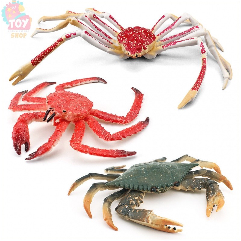 ของเล่นเพื่อการศึกษาสำหรับเด็กจำลองสัตว์ทะเลปูโมเดลปูคิงปูแมงมุมปูตุ๊กตาตั้งโต๊ะแบบคงที่