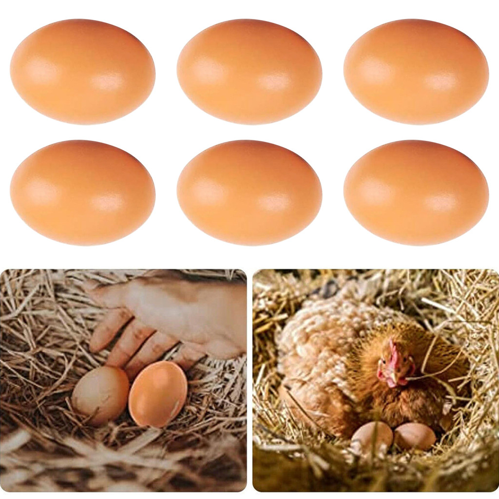 Aquafireo6pcs ไข่ไม้บ้านไก่ไข่ปลอมขนาดเล็กฟาร์มสัตว์อุปกรณ์กรงอุปกรณ์เสริมคู่มือไก่รังไข่ภาพวาด