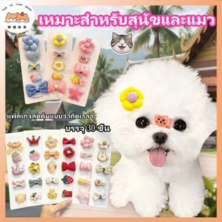 【🚀ส่งจากไทย】ชุด30ชิ้น🌸 น่ารัก กิ๊บน้องหมา สัตว์เลี้ยง กิ๊บแม…