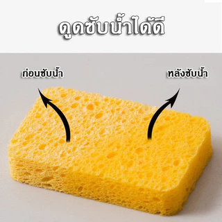Featured ฟองน้ำเยื่อไม้ไผ่ เนื้อนุ่ม ฟองเยอะ แห้งไว ต้านแบคทีเรีย ใช้งานได้ทนทาน หนา 2 ซม.