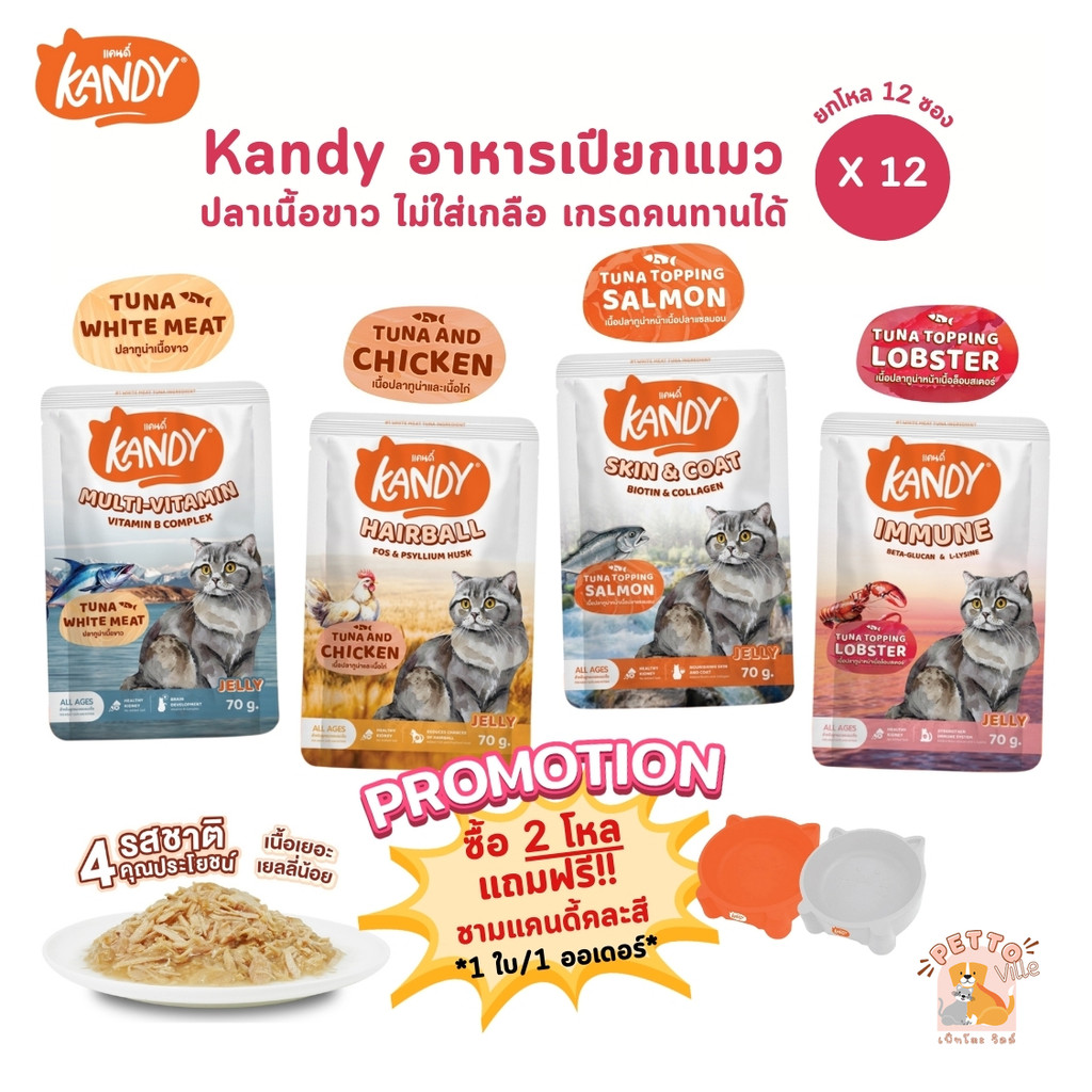 Kandy แคนดี้ [ยกโหล 12 ซอง] อาหารเปียกแมว ไม่ใส่เกลือ ผลิตจากปลาเนื้อขาว ขนาด 70 กรัม