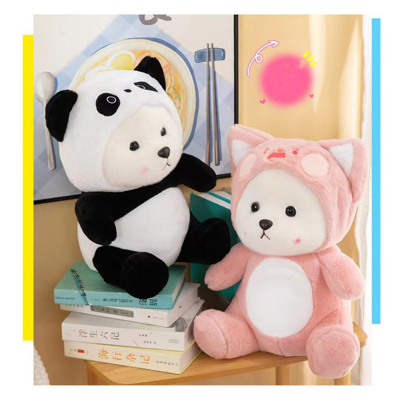 รูปภาพ 8