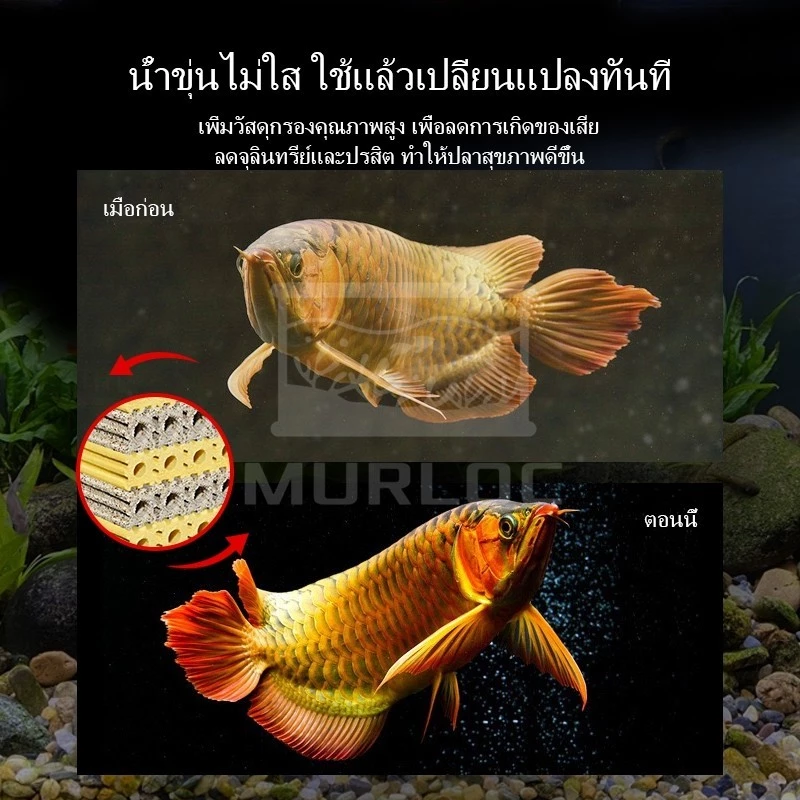 C-BAR ซีบาร์ วัสดุกรองตู้ปลา/บ่อปลา น้ำใส ลดของเสีย pH เป็นกลาง แบคทีเรียเติบโตดี (พร้อมส่ง) thumbnail 3