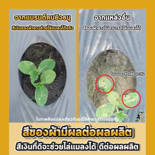 พลาสติกคลุมดิน 0.8ม.x400หลา(360ม) เจาะรูเดี่ยว 1แถว ผ้ายางคลุมดิน ผ้ายางคลุมวัชพืช ผ้ายางคลุมแปลงผัก