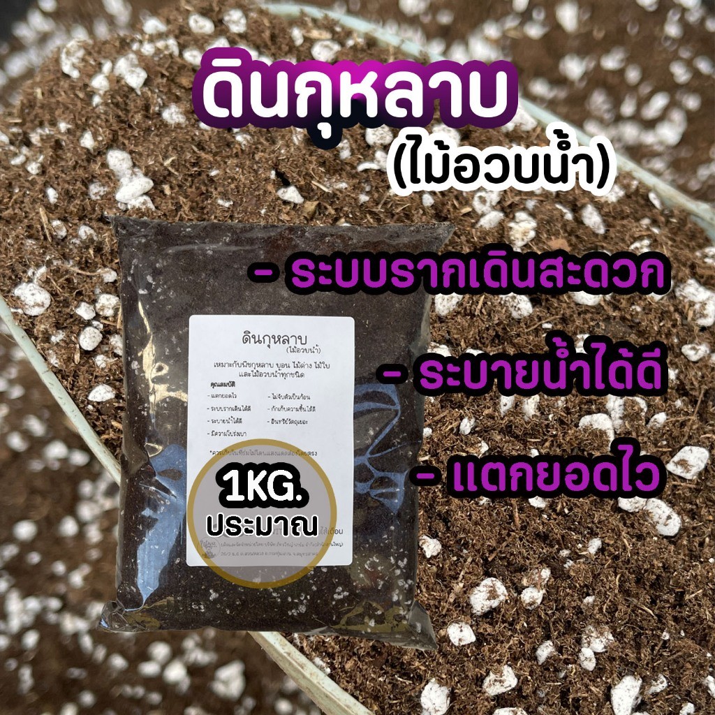 (ส่งฟรีทักแชท)ดินกุหลาบ ไม้อวบน้ำ รากเดินสะดวก แตกยอดไว ระบายน้ำดีไม่จับตัวเป็นก้อน ใส่กระถาง8นิ้วพอดี น้ำหนักประมาณ1KG