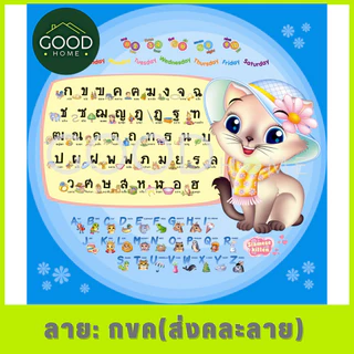GOODHOME โต๊ะญี่ปุ่นขนาด75x75 ซม. โต๊ะหน้าสี่เหลี่ยมจัตุรัส สำหรับกินข้าว,อ่านหนังสือ,ทำงาน,ทำอาหาร ✅มี7สีให้เลือก✅
