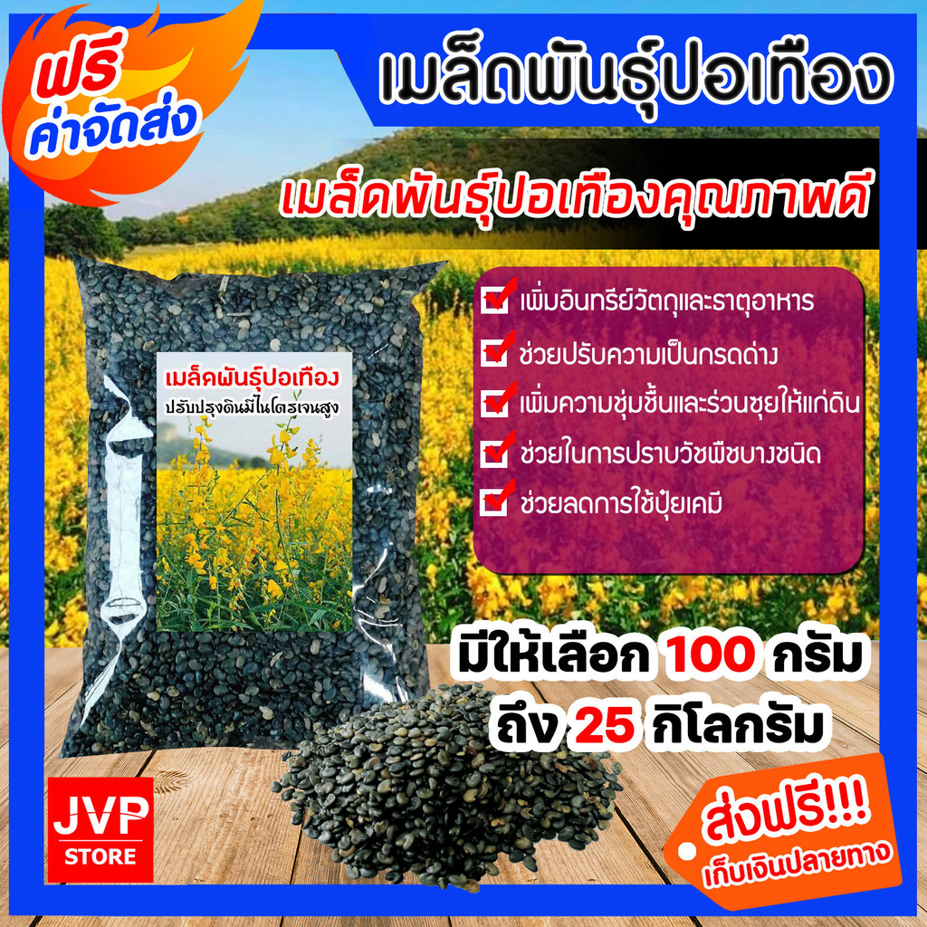 เมล็ดพันธุ์ปอเทือง มีให้เลือก 1-5 กิโลกรัม ดอกปอเทือง ดอกเหลือง เมล็ดพันธุ์คุณภาพดี พืชบำรุงดิน ให้ปุ๋ยอินทรีย