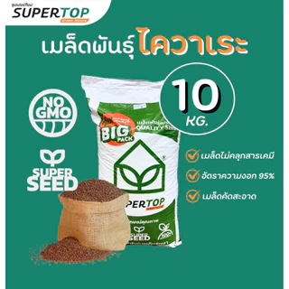 เมล็ดเพาะต้นอ่อน SUPERTOP | ยกกระสอบ 10 KG.
