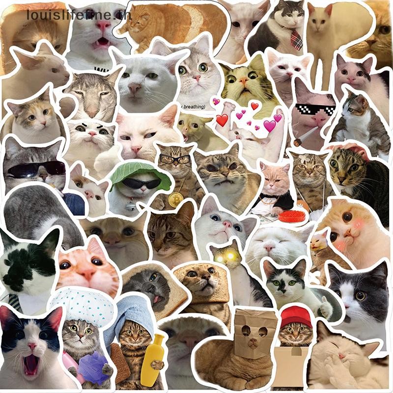 Louislifefine 50 ชิ้นแมว MEME สัตว์สติกเกอร์ของเล่น Graffiti Decals สําหรับเด็กโน้ตบุ๊คแล็ปท็อปใหม่