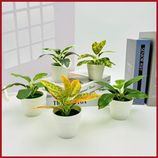 กระถางต้นไม้บอนไซจําลอง ขนาดเล็ก สีเขียว แบบสร้างสรรค์ สําหร…