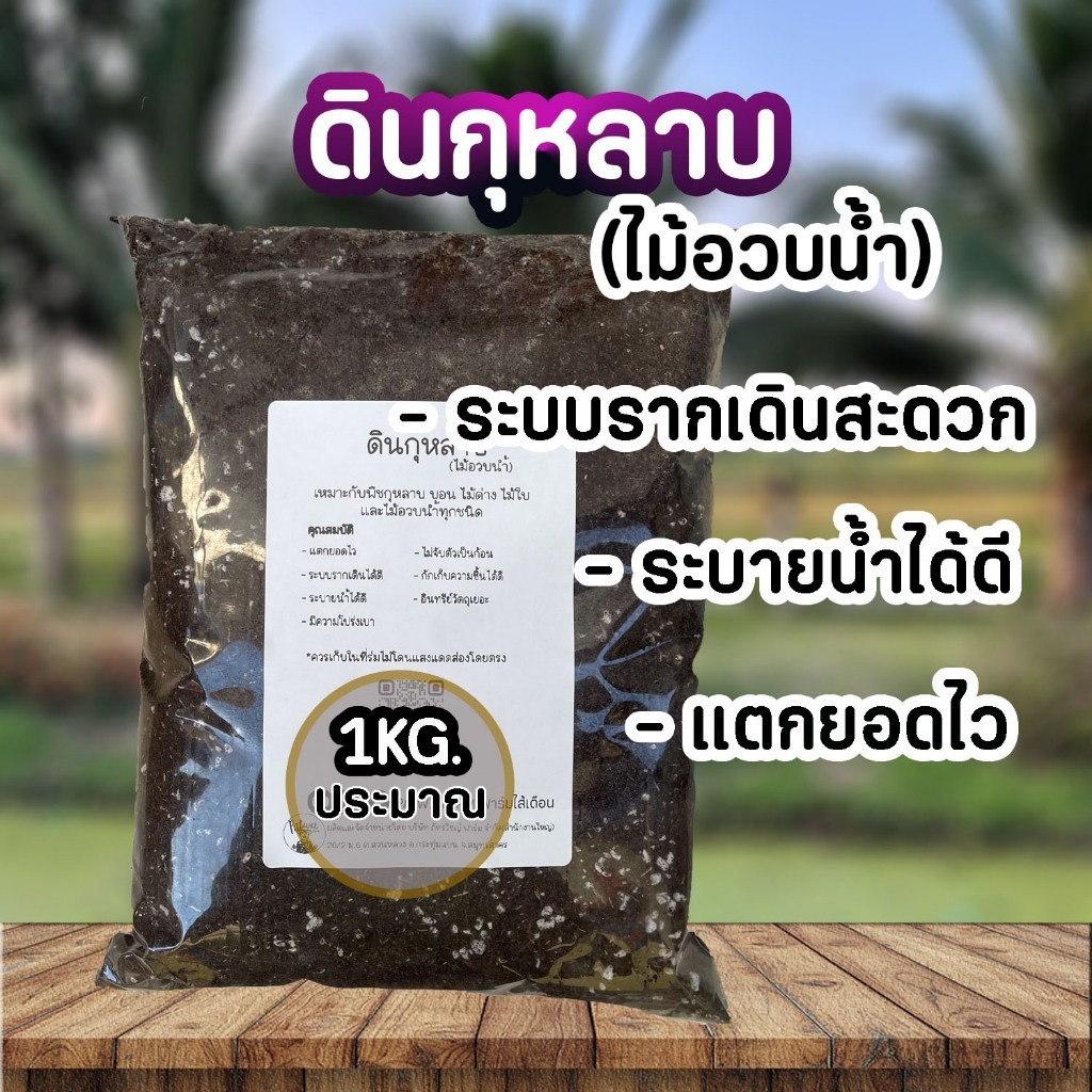 (ส่งฟรีทักแชท)ดินกุหลาบ ไม้อวบน้ำ รากเดินสะดวก แตกยอดไว ระบายน้ำดีไม่จับตัวเป็นก้อน ใส่กระถาง8นิ้วพอดี น้ำหนักประมาณ1KG - รูปที่ 3
