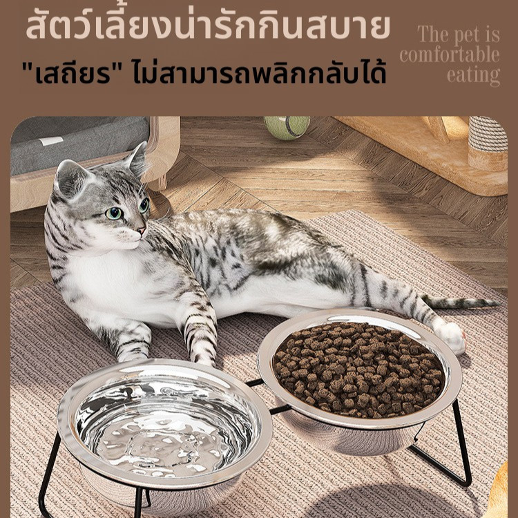 ชามสัตว์เลี้ยงสแตนเลส เกรด A  ชามแมว ชามสุนัข ทำความสะอาดง่าย ปลอดภัยไร้สารปนเปื้อน กันลื่น ทนทาน - รูปที่ 6