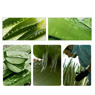 YTL เเจลว่านหางจระเข้ Aloe Vera 98% 300ml ว่านหางจระเข้ ชุ่มชื้น ซึมซาบไว ไม่เหนียวเหนอะหนะ