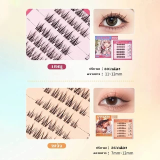 YTL ซีรีส์ 12 นักษัตร ขนตาปลอม 3D ไม่ต้องใช้กาว มีกาวในตัว ขยายตา ติดทน ใช้ซ้ำได้ เหมาะสำหรับมือใหม่ 30/36 ช่อ/กล่อง