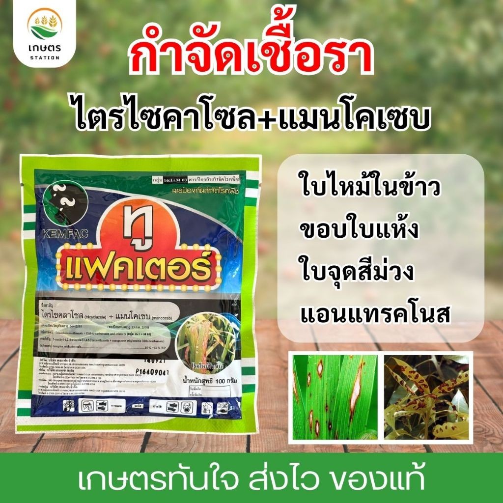 ทูแฟคเตอร์ ไตรไซคลาโซล+แมนโคเซบ กำจัดเชื้อรา ใบไหม้ ใบจุด แอนแทรคโนส กุ้งแห้ง ขนาด100กรัม