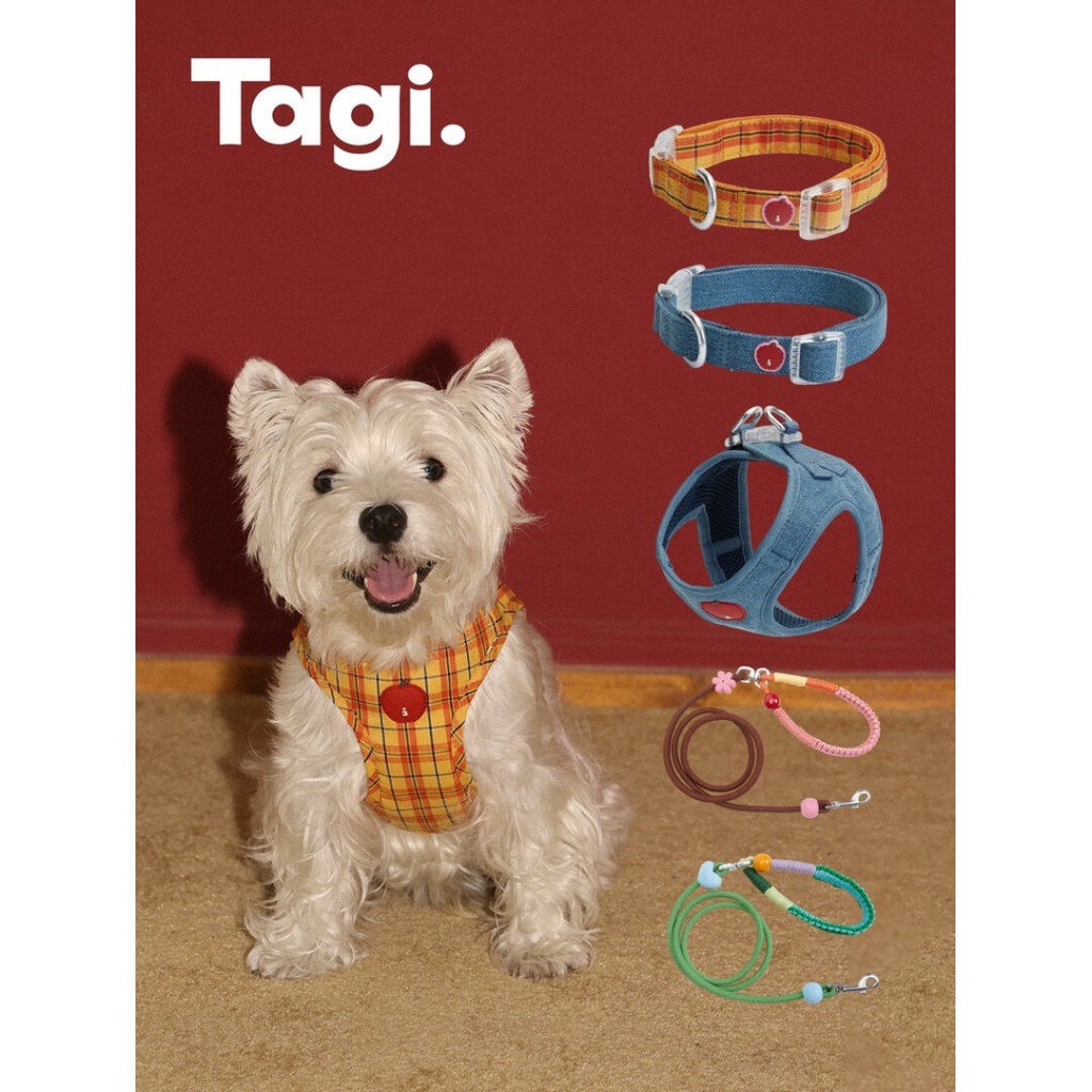 Tagi. Apple Pet Collar and Harness Signal Heart Pet Leashes