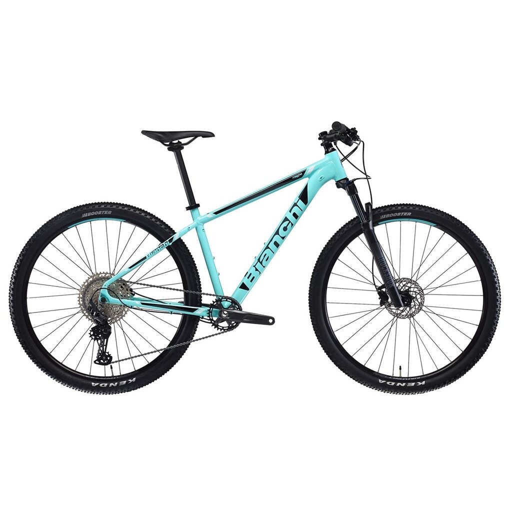 Bianchi รุ่น Magma 9.0 BOOST จักรยานเสือภูเขาเฟรมอลู 29 นิ้ว 1x11 sp (Shimano Deore)
