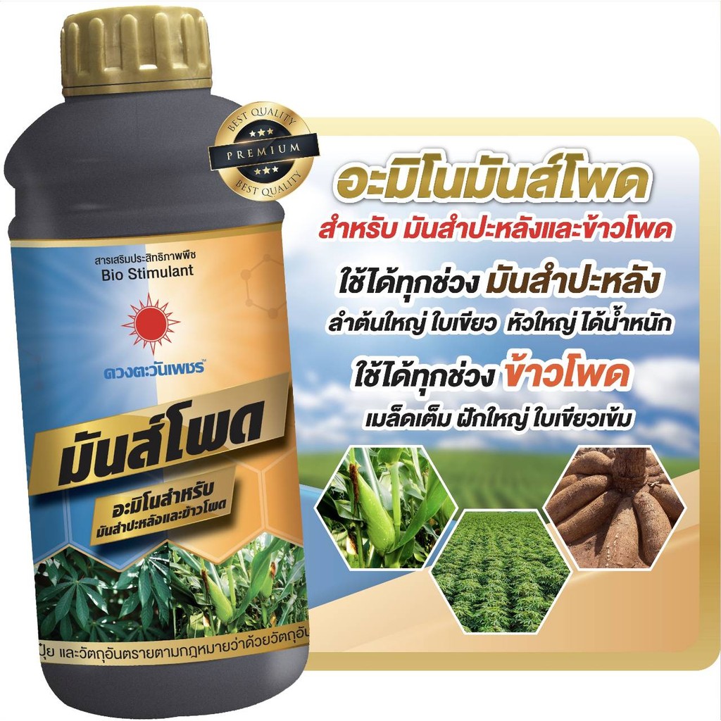 อะมิโนมันส์โพด  ขนาด 1 ลิตร #มันโพด #ดวงตะวันเพชร สำหรับมันสำปะหลังและข้าวโพด ช่วยใหญ่ลำต้นใหญ่ ใบเขียว โตเร็ว