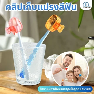 【พร้อมส่งจากไทย】กล่องเก็บหัวแปรงสีฟัน พกพาและกะทัดรัด ใส กันฝุ่น กันน้ํา Toothbrush Head cover