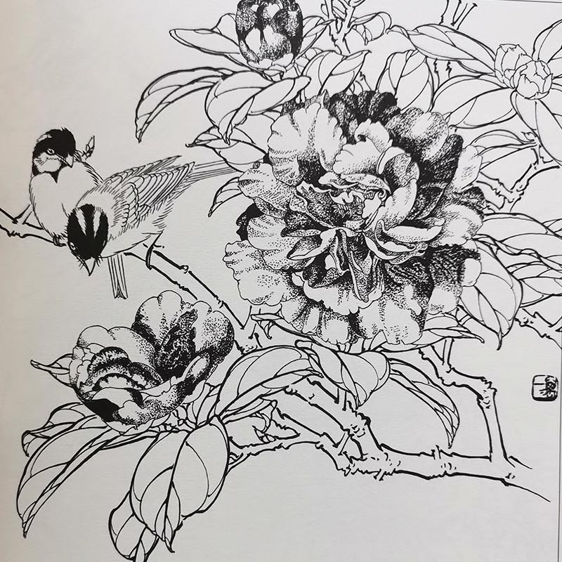 ภาพวาดดอกโบตั๋นซีรีส์งานศิลปะของแท้ - รูปที่ 4