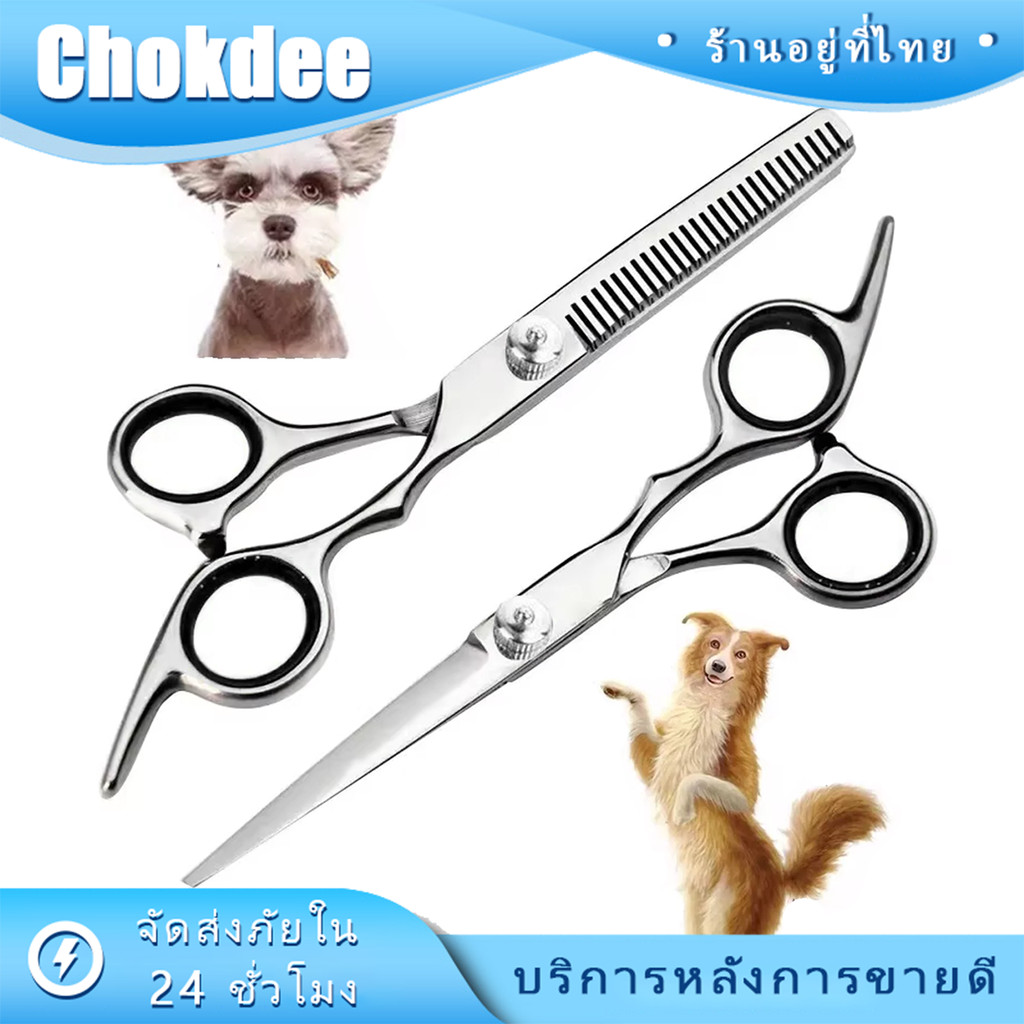 กรรไกรสัตว์เลี้ยง กรรไกรโค้งตัดขนหมา แมว ชุดเครื่องมือตัดสัตว์เลี้ยง DIy