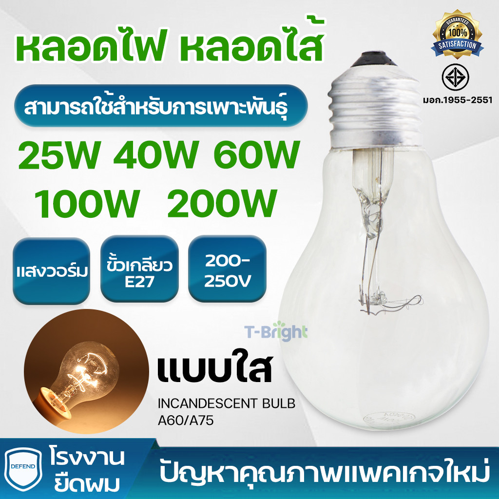 หลอดไส้ หลอดร้อน หลอดกกไก่  25W 40W 60W 100W 200W 220Vเปลี่ยนหลอดไฟฮาโลเจนสปอตดาวน์ไลท์ E27
