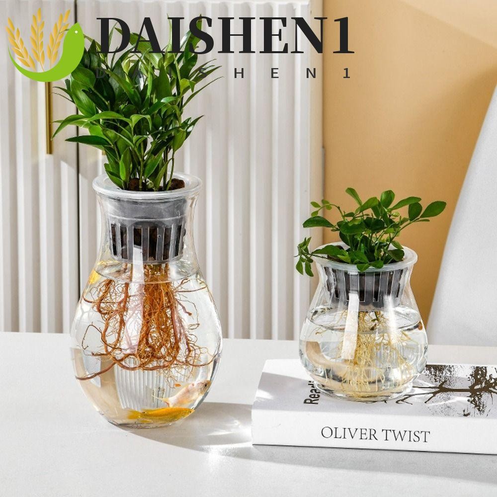 Daishen1 กระถางต้นไม้ไฮโดรโปนิก พลาสติกใส ตั้งพื้นได้ สําหรับรดน้ําต้นไม้ สํานักงาน