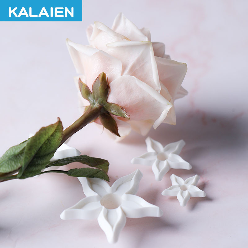 Kalaien 2รูปแบบดอกไม้, ใบรูปร่างคุ้กกี้4ชิ้น/เซ็ต Rose sepals, Chlorophytum comosum ใบรูปร่างตัด F ondant, sugarcraft เค้กตกแต่งเครื่องมือ