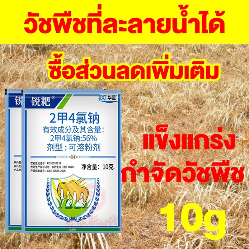 COD ผงกำจัดไผ่วัชพืชต้นไม้ใหญ่ กำจัดไผ่ กำจัดต้นไม้ใหญ่ รากเน่า แห้งตาย เห็นผลไว กำจัดวัชพืชทุกชนิด 10g