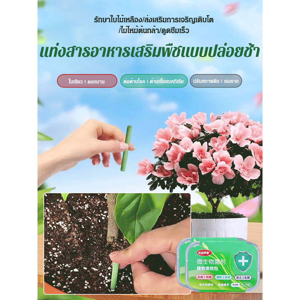 （สต๊อกสินค้าพร้อมส่ง）Nitrogen Phosphorus Potassium Succulents Sticks Fertilizer