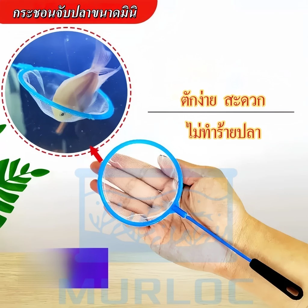 กระชอนตักปลา กระชอนพลาสติก ที่ตักปลา ตักกุ้งขนาดเล็ก กระชอนพลาสติกวงกลม มี 3 ขนาด (คละสีส่ง)