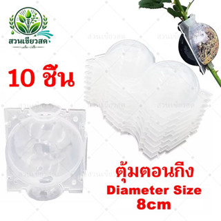 10 ชิ้น ตุ้มตอนกิ่ง สีขาวโปร่ง ตุ้มตอนพลาสติก ขยายพันธุ์พืช …