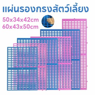 พร้อมส่ง แผ่นรองกรงแมว แผ่นรองกรงสัตว์เลี้ยง กันลื่น แผ่นรอง…