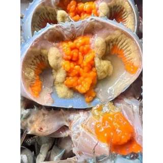 ปูไข่วัง ปูดำไข่ และปูเนื้อแน่น ปูเป็นน๊อกน้ำแข็งและนำไปแช่แข็ง มีหลายไซส์ให้เลือก ขายเเพ็คละ1กิโลกรัม